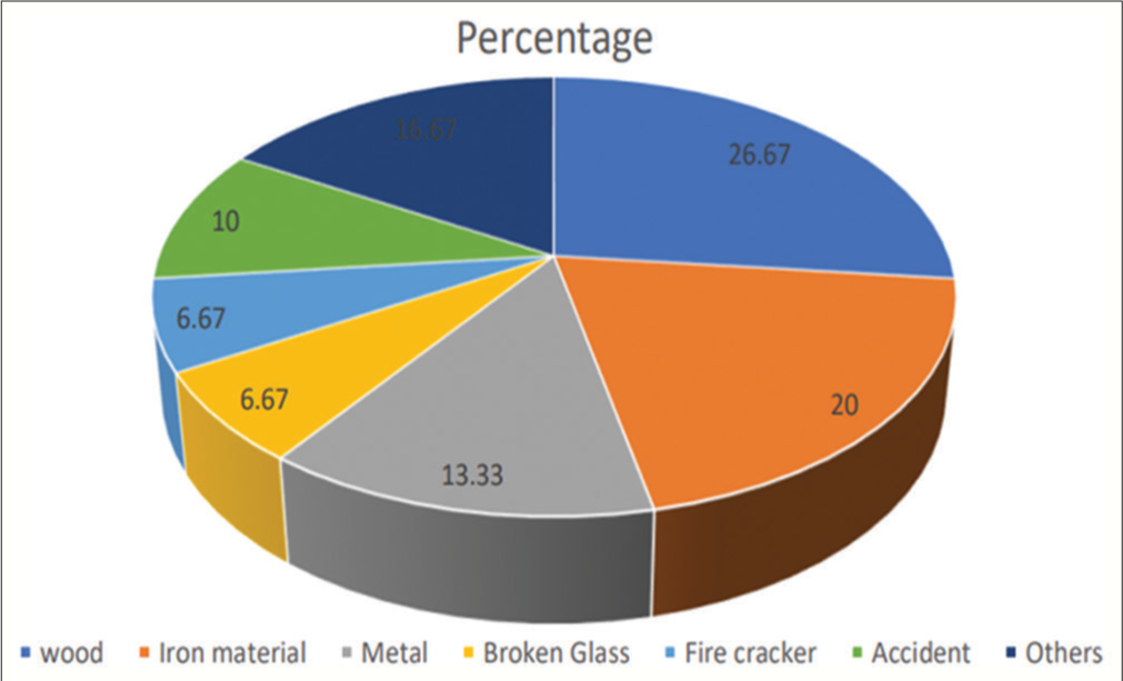 Distribution of objects causing injury.