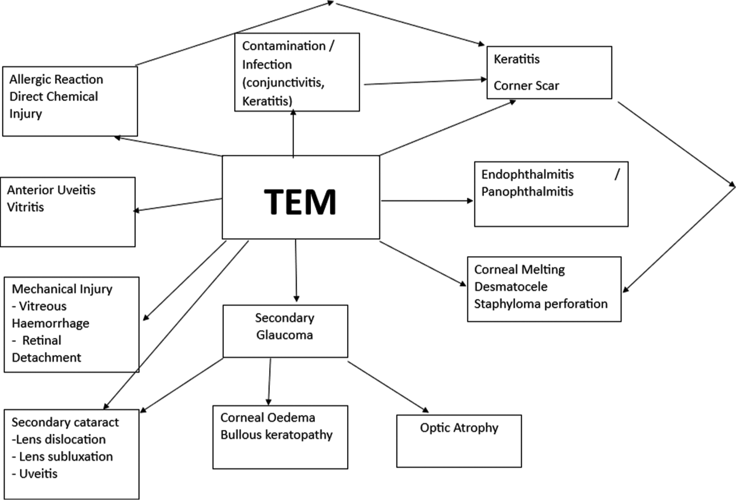 Pathways to blindness with the use of traditional eye medication.